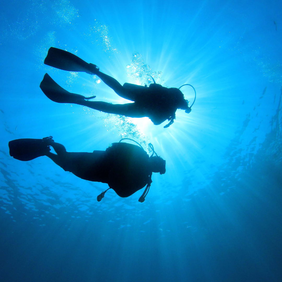 Scuba Diving Etiquette Dos and Don'ts Paragon Dive Group