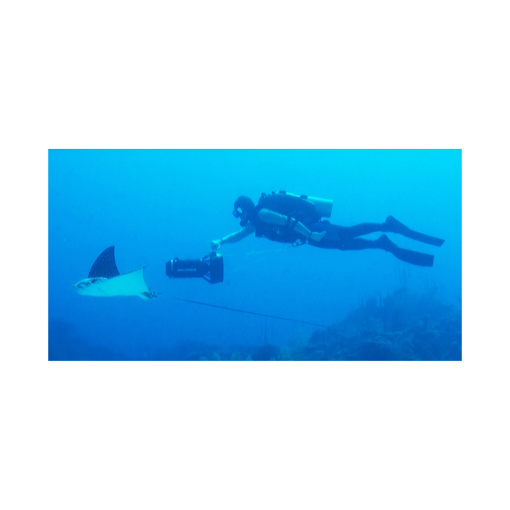 Diving Scooters by Dive Xtras Inc Under Water Scooters Paragon Dive