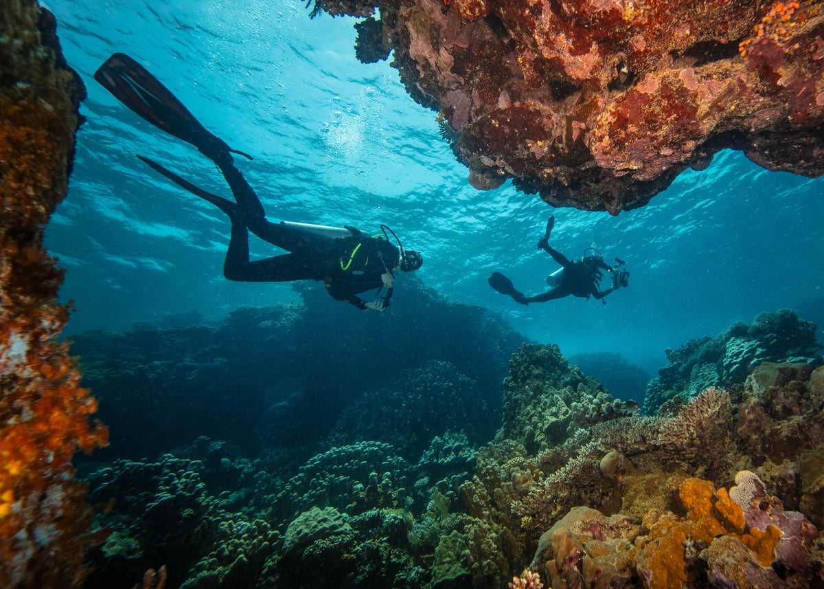 Your Complete Guide to Drift Diving | Paragon Dive Group