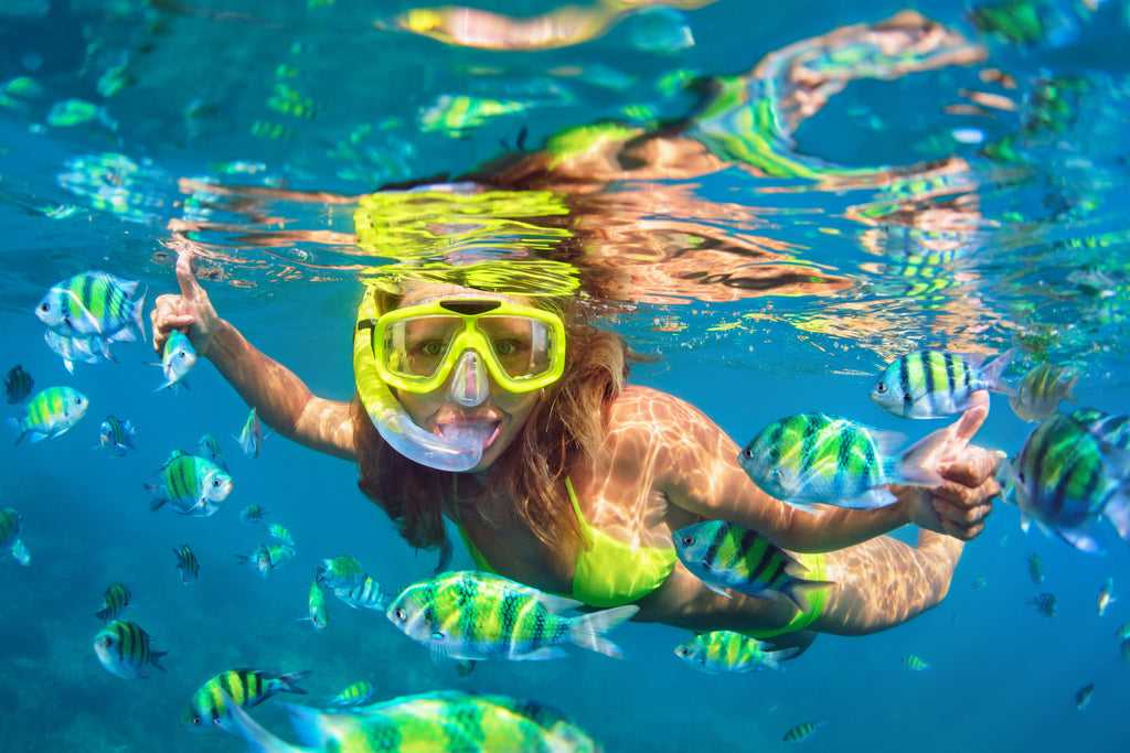somebody snorkeling with colorful fish