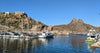 ON DEMAND - Dive San Carlos - Single Day Dive Trips