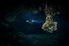 Be Water Imaging - The Maple Leaf