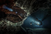 Be Water Imaging - Bear Room