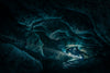 Be Water Imaging - Diamond Sands