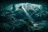 Be Water Imaging - Peacock 1