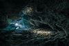 Be Water Imaging - Peanut Tunnel 1