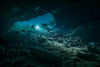 Be Water Imaging - Jackson Blue Cavern