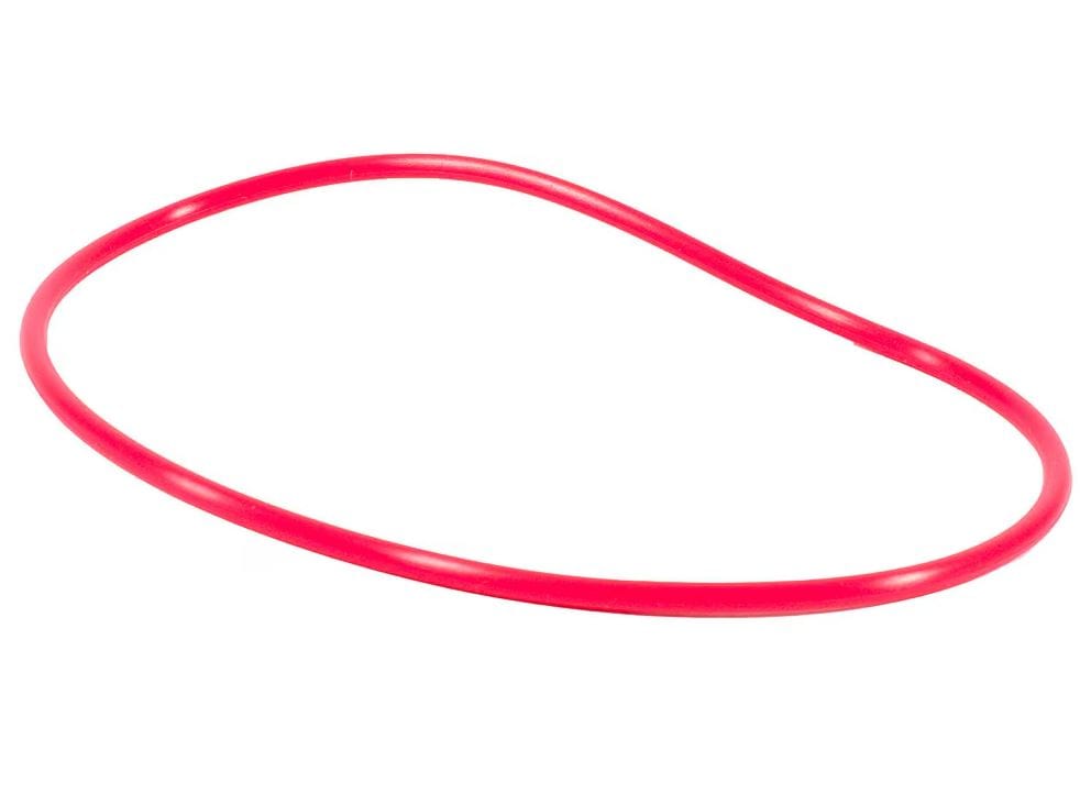 Backscatter Olympus POL-058 O-Ring for Underwater Cameras