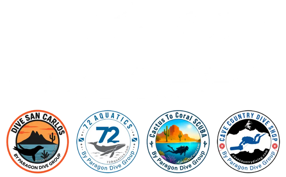 Paragon Dive Group