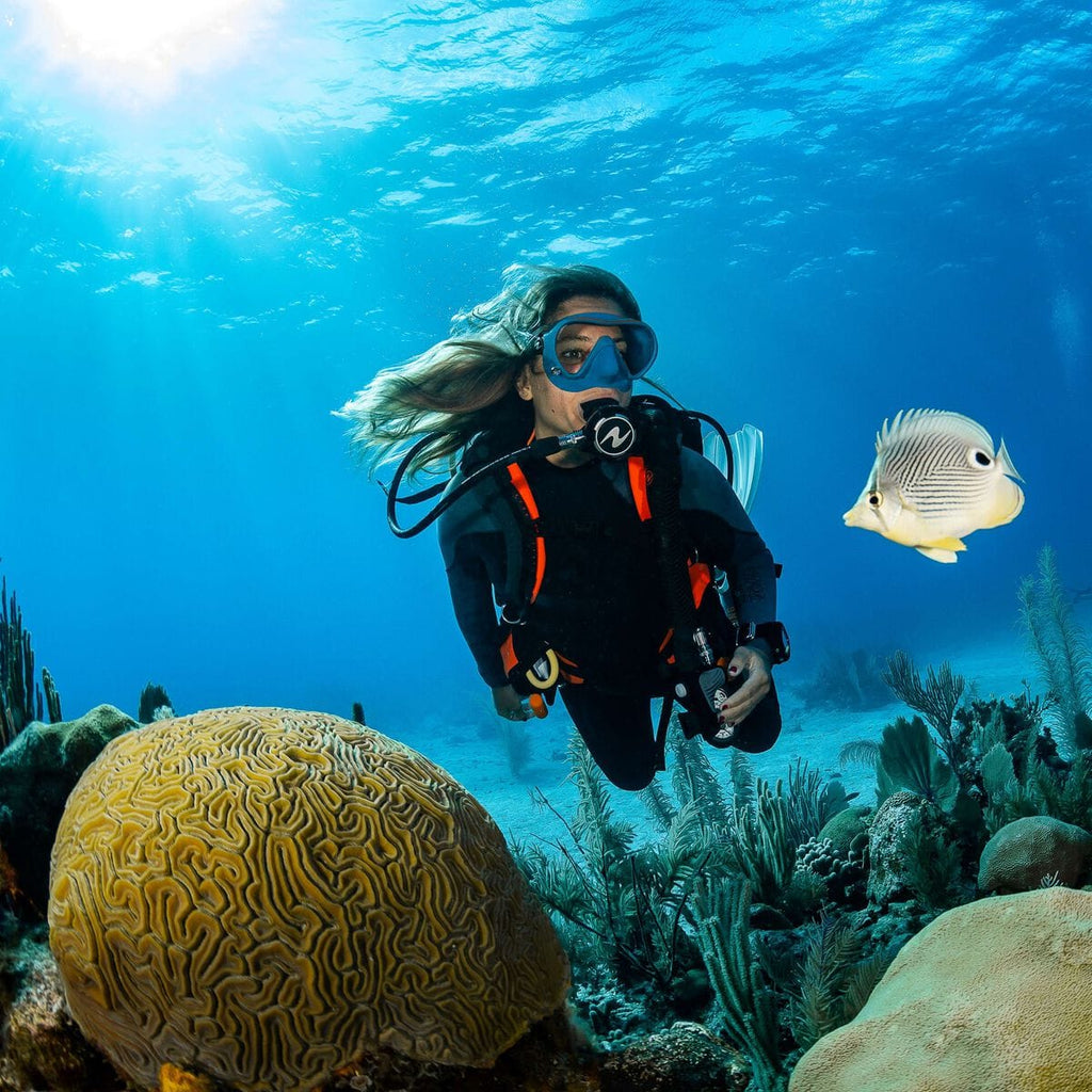 Scuba diver explores coral reef (rg150002_4)